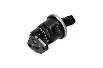 SUPAPA EGR Kavo Parts EEG2006 25