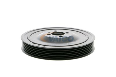 FULIE CUREA ARBORE COTIT VAICO V401481 56