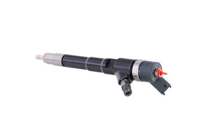 INJECTOR REMANTE 002003000156R 17