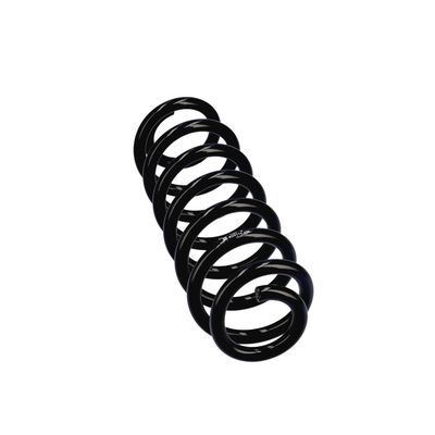 ARC SPIRAL EIBACH R23114 24