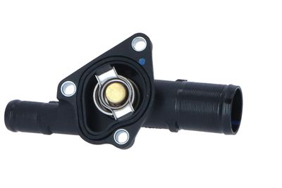 TERMOSTAT LICHID RACIRE NRF 725009 29