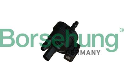 Borsehung Клапан фильтра с активированным углем