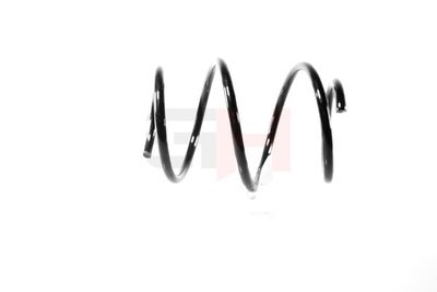 ARC SPIRAL GH GH201601 29