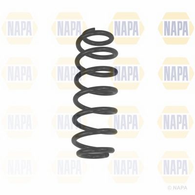 Suspension Spring NAPA NCS1855