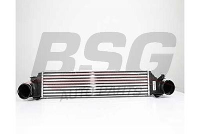 BSG BSG 60-535-012 Інтеркулер 