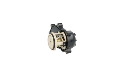 TERMOSTAT LICHID RACIRE NRF 725261 24