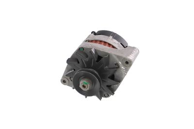 GENERATOR / ALTERNATOR REMANTE 011003000079R 65