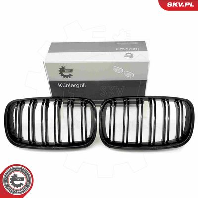 GRILA RADIATOR ESEN SKV 66SKV287