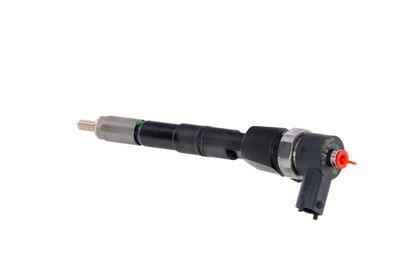 INJECTOR REMANTE 002003001674R 17