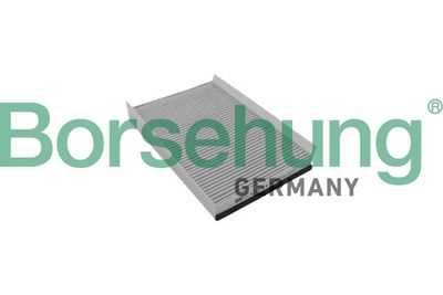 Borsehung Filtras, salono oras