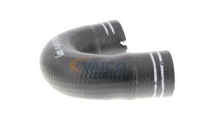 FURTUN EAR SUPRAALIMENTARE VAICO V240804 44