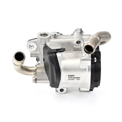 SUPAPA EGR DELPHI EG1060812B1 1