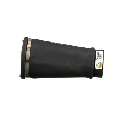 LUFTFEDER FAHRWERK Arnott A2202 4