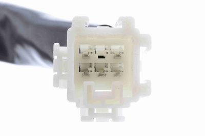 INCUIETOARE HAION ACKOJA A26850029 8