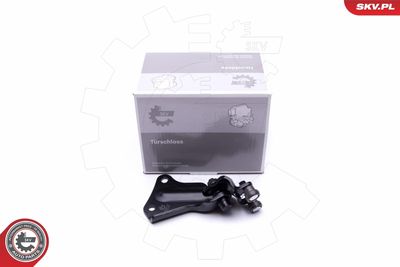 GHIDAJ CU ROLE USA GLISANTA