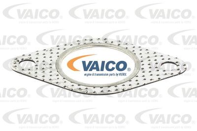 VAICO V10-1823 Прокладка випускного колектора 