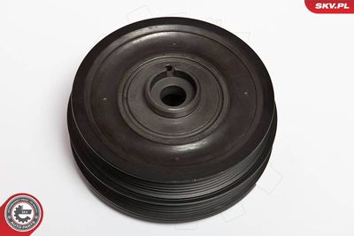 FULIE CUREA ARBORE COTIT