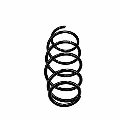 ARC SPIRAL EIBACH R11021 13