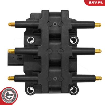 ESEN SKV Ritė, uždegimas