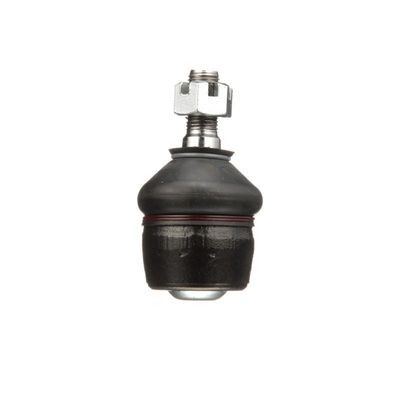 SPURSTANGENKOPF DELPHI TA1196 12