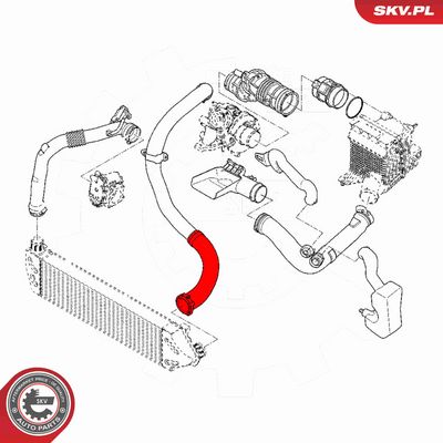 FURTUN EAR SUPRAALIMENTARE ESEN SKV 54SKV055 3