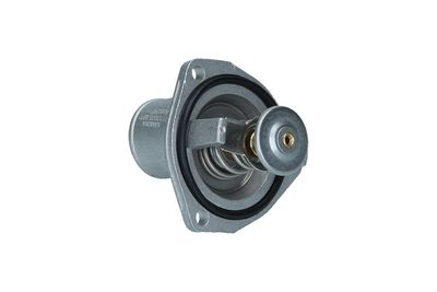 TERMOSTAT LICHID RACIRE