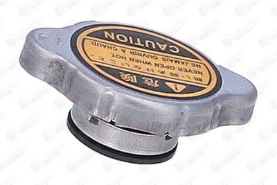 BUSON RADIATOR BIRTH 81184 7