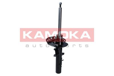 Shock Absorber 2000042