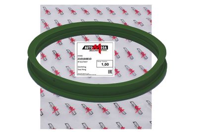 GARNITURă DE ETANșARE REZERVOR DE COMBUSTIBIL