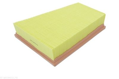 FILTRU AER AUTOMEGA 180034910