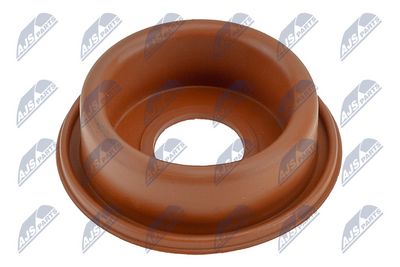 EGR-WW-058