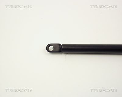 AMORTIZOR CAPOTA TRISCAN 87101102 1