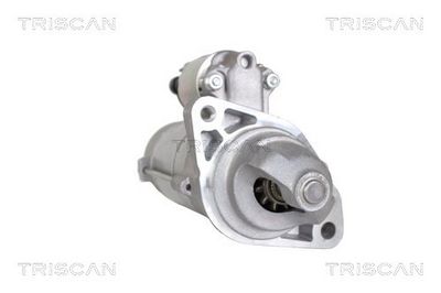 Starter TRISCAN 8305 20002