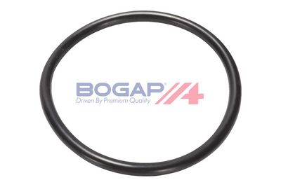 POMPă DE APă RăCIRE MOTOR BOGAP B4234110 5