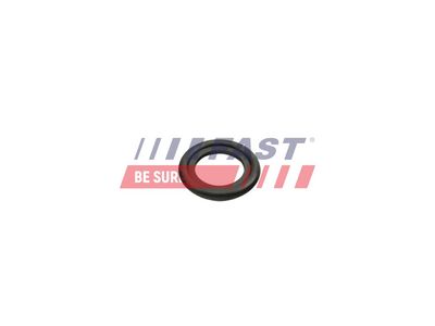 Těsnicí kroužek, olejová vypouštěcí zátka FAST FT49860