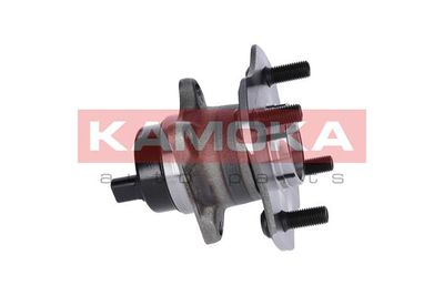 Wheel Bearing Kit 5500074