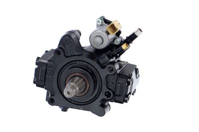 POMPA DE INALTA PRESIUNE REMANTE 002002000512R 61