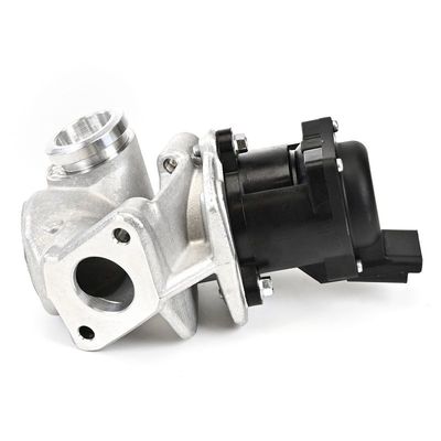 SUPAPA EGR DELPHI EG1050712B1 19