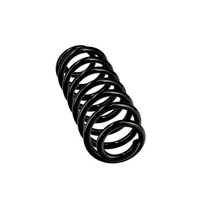 ARC SPIRAL EIBACH R10673 24