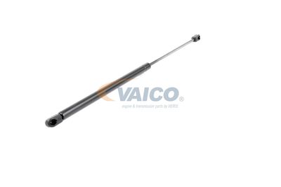 GASFEDER KOFFER-/LADERAUM VAICO V250228 54