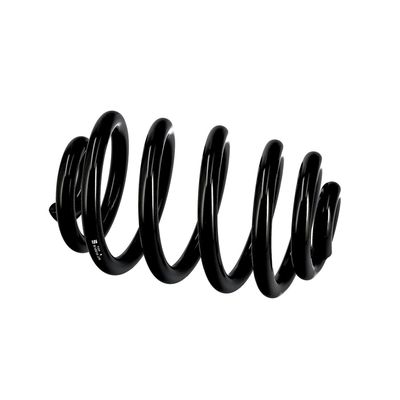 ARC SPIRAL EIBACH R10010 8