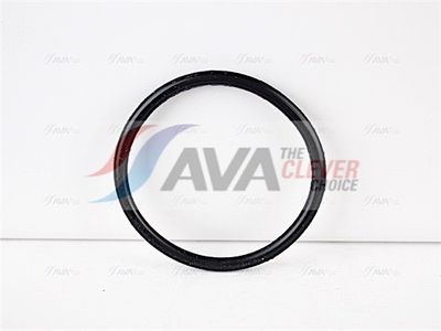 TERMOSTAT LICHID RACIRE