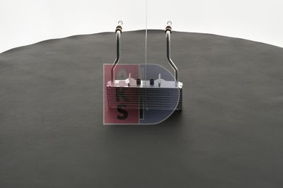 ÖLKüHLER MOTORöL AKS DASIS 066000N 8