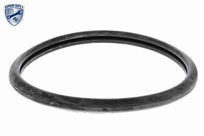 TERMOSTAT LICHID RACIRE ACKOJA A52990005 1