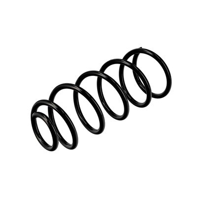 ARC SPIRAL EIBACH R10454 16