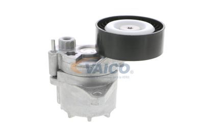 INTINZATOR CUREA CUREA DISTRIBUTIE VAICO V300139 57