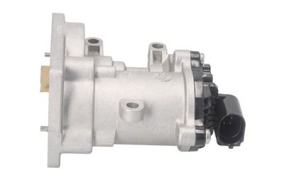 EGR Valve ENT500121