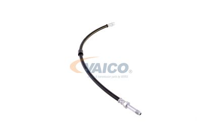 FURTUN FRANA VAICO V300547 47