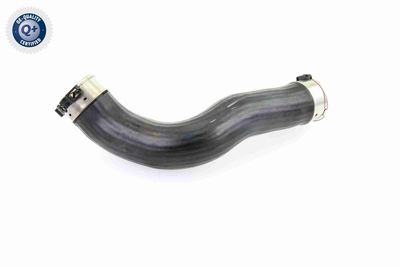 FURTUN EAR SUPRAALIMENTARE VAICO V202965 5