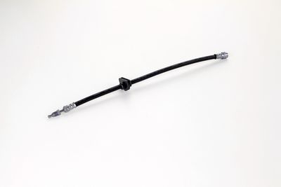 FURTUN FRANA ATE 24513404203 24